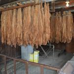 2017OTRA-1_473 (August 24, 2017)